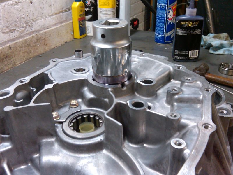 Input Shaft Bearing